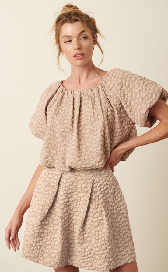 Camille Top & Skirt Taupe Set